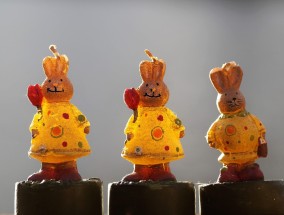 揭秘早上的肖是什么生肖