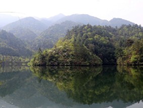 龙井村的韵味，杭州之旅不可或缺的一站