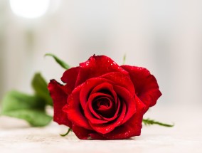 长沙一对夫妻的独特情人节，将妇女节化作浓浓的爱意