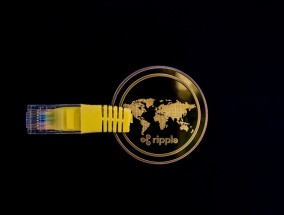 恐慌蔓延下哈佛国际学生的抉择，不愿成为博弈的棋子