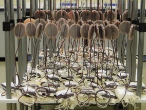 威高血净:山东威高血液净化制品股份有限公司第二届监事会第八次会议决议公告