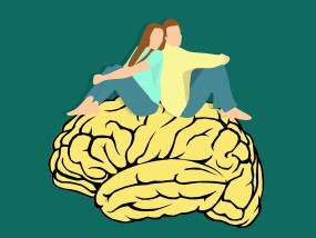 头脑有点愚的生肖—深度解读生肖智慧与个性特质