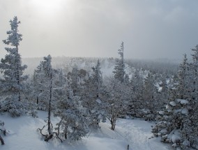 今年场第一冷流雪来了