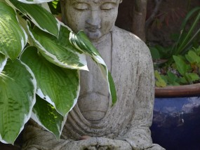 原来这就是古人说的井水不犯河水—探寻和谐共生的智慧