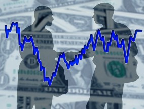 天元宠物:国泰海通证券股份有限公司关于本次交易信息公布前公司股价波动情况的核查意见