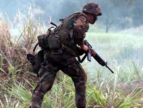 德国外长：不再公开对乌克兰供应某些类型武器的情况