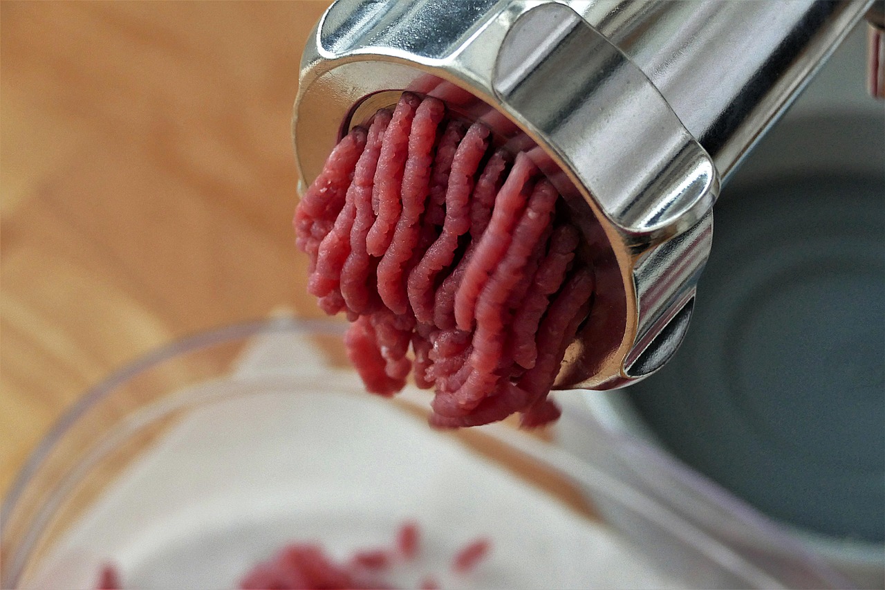 食品安全监管需与时俱进，绞肉机中的活蛆不能仅靠家长陪餐发现