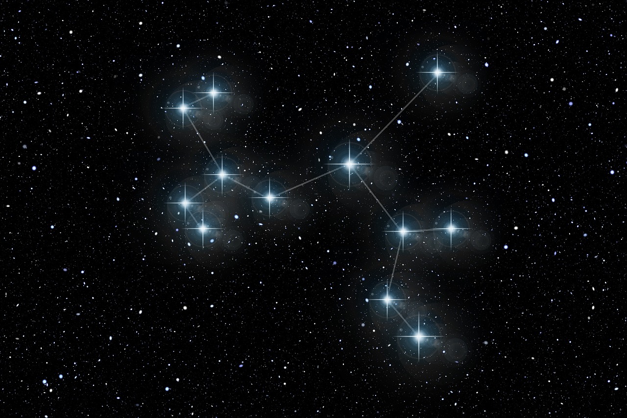 揭秘2025年2月的生肖奥秘，探寻属相轮回的奥秘