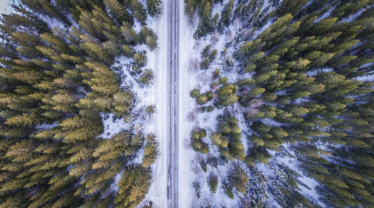 一次难忘的哈尔滨旅游经历，探寻冰雪之都的魅力
