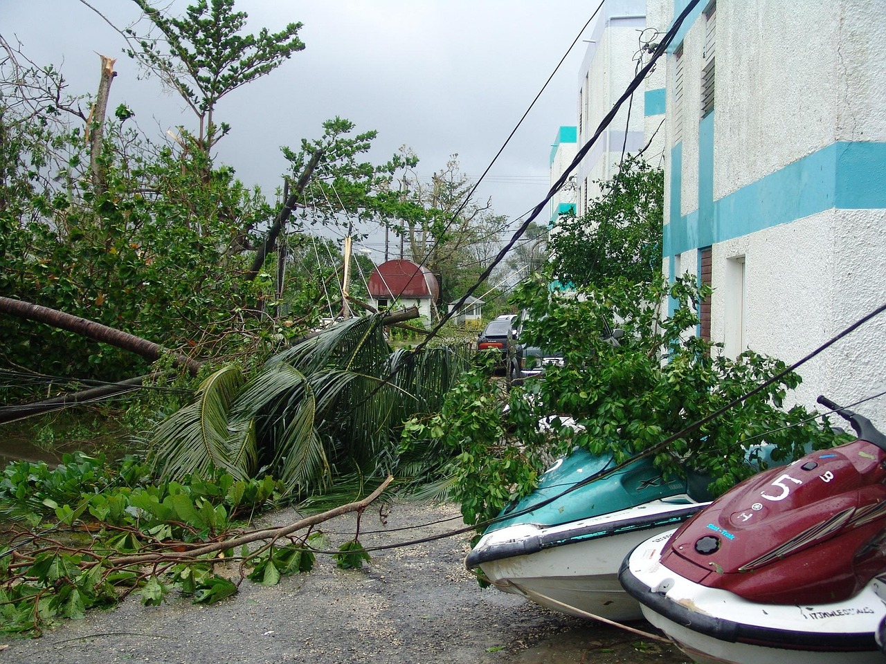 湖北狂风暴雨后私家车变碰碰船，灾难中的自救与应对